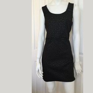 Romeo & Juliet Culture Designer Dress Size Large NWT